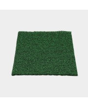 Home Beautiful Anti-Skid Green Polypropylene Door Mat