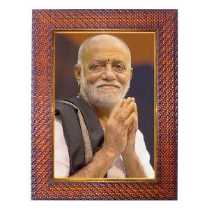 Adi Shankaracharya Photo Frame 17X21 Inch Religious Wall & Table Decor Frame | Adi Shankaracharya Spiritual Photo Frame For Home, Temple & Office (F18323X17X21)
