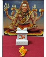 HI TECH Sales Tulsi Ceramic Mandir | Traditional Tulsi Plant Pot with Om & Swastik Symbols | Sacred Hindu Planter for Home & Temple Use(White)