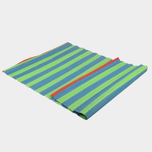 Blue PVC Floor Mat