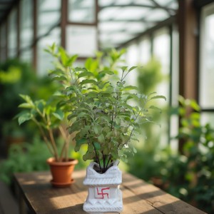 Hi Tech Sales Ceramic Tulsi Mandir | Traditional Planter Pot with Om & Swastik Symbols | Sacred Hindu Tulsi Planter for Home & Temple Use (White) Hi Tech Sales Ceramic Tulsi Mandir | Traditional Planter Pot with Om & Swastik Symbols | Sacred Hindu Tulsi Planter for Home & Temple Use (White)