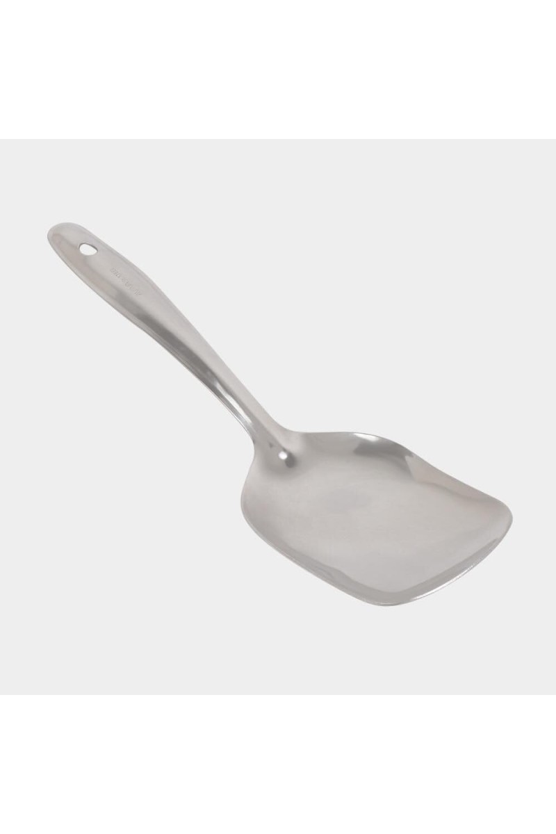 Stainless Steel Serving Spoon, 9.5 in Length (Pack of 1)