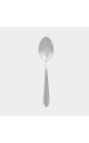 Stainless Steel Spoon, 6.3 in (Pack of 4)