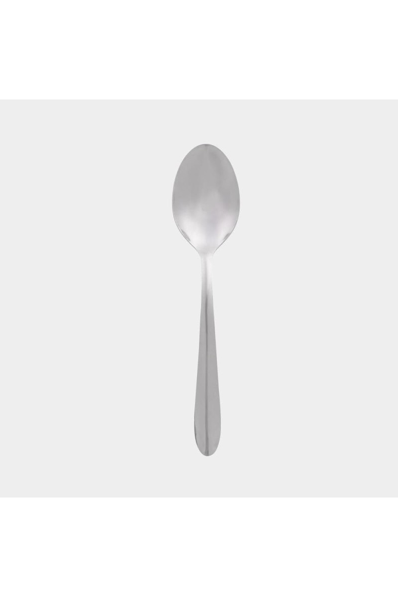 Stainless Steel Spoon, 6.3 in (Pack of 4)