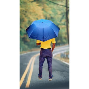 Hitech K.C.PAUL & SONS RAJ 2 Fold Black Polyester Men Umbrella