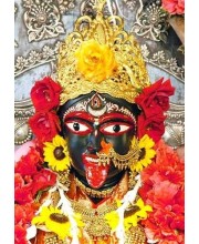 Divine BHABATARINI Photo with Elegant Wood Lamination – Blessings for Your Home (10 x 12, Colour)