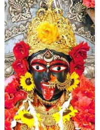 Divine BHABATARINI Photo with Elegant Wood Lamination – Blessings for Your Home (10 x 12, Colour)