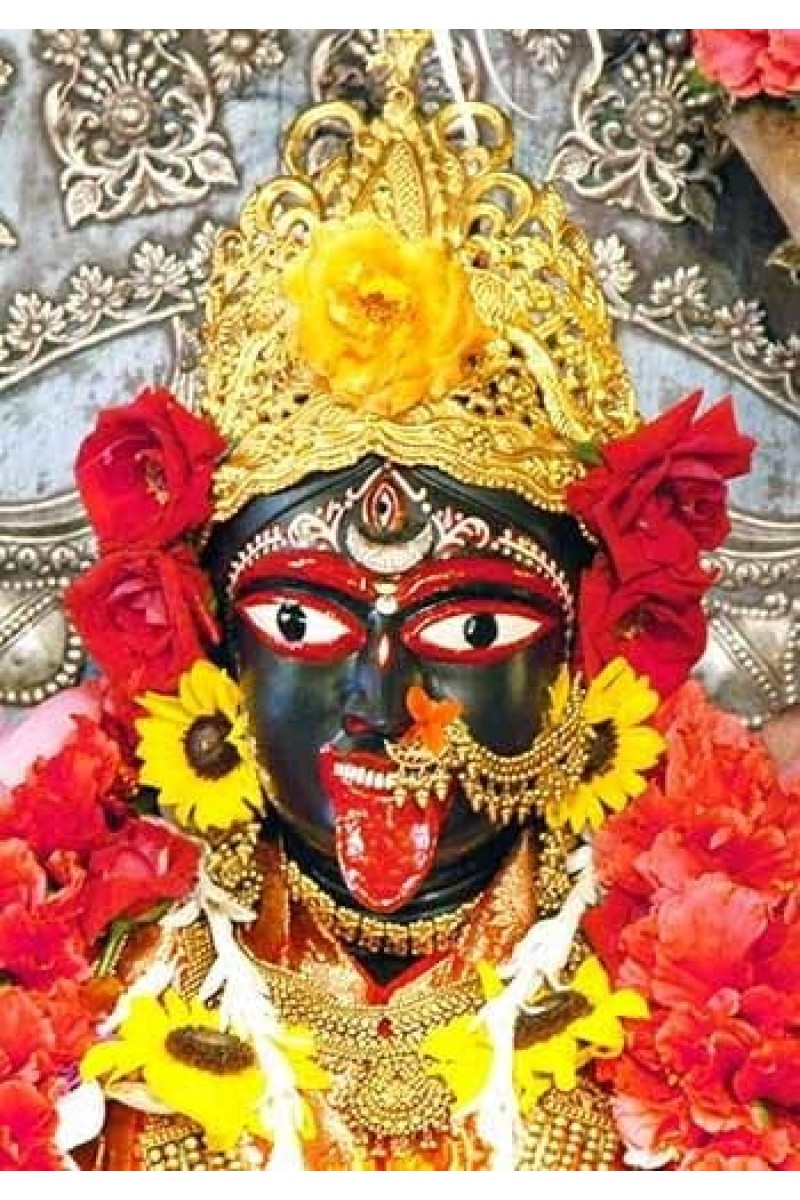 Divine BHABATARINI Photo with Elegant Wood Lamination – Blessings for Your Home (10 x 12, Colour)