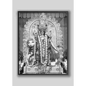 HI Tech Sales MA JAGADHATRI Photo Frame wood laminated Photo Frame Idol for Pooja, wall hanging/gift/temple/puja room/home decor