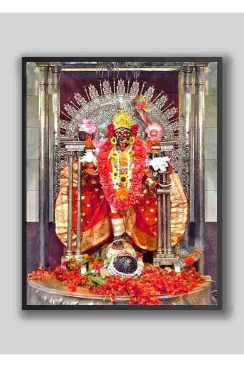 HI Tech Sales KALI MATA BHABATARINI Laminated Photo, MA BHABATARINI