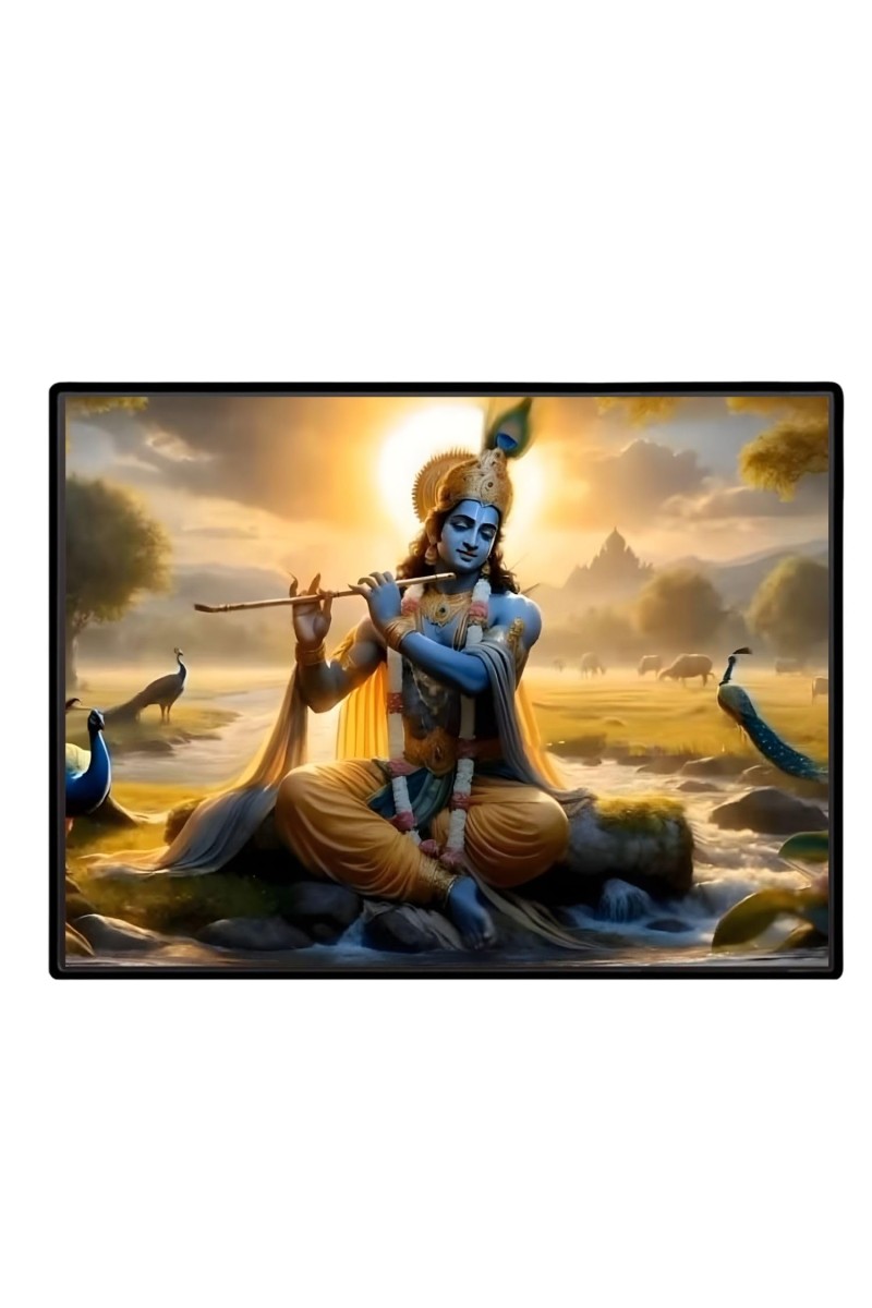 Lord Krishna Laminated Photo - 9x11 Inches, Divine Blessings For Home & Office And Temple Decoration (F16092)