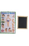 Hitech Sales Combo of Wooden Framed Small Blackboard Slate with White Chalk Sticks & Nursery Educational Wall Chart – Learning Kit for Kids (Wooden Blackboard with Human Body Parts Chart)