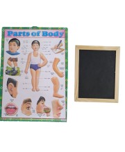 Hitech Sales Combo of Wooden Framed Small Blackboard Slate with White Chalk Sticks & Nursery Educational Wall Chart – Learning Kit for Kids (Wooden Blackboard with Human Body Parts Chart)