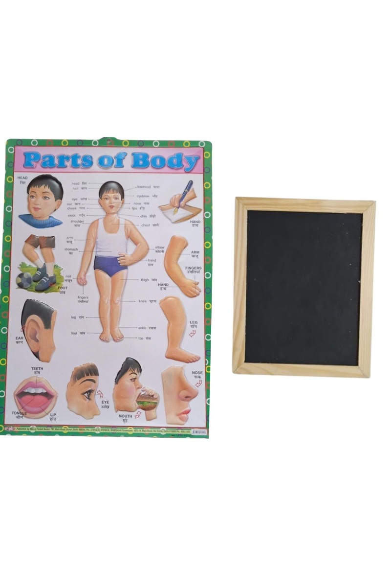 Hitech Sales Combo of Wooden Framed Small Blackboard Slate with White Chalk Sticks & Nursery Educational Wall Chart – Learning Kit for Kids (Wooden Blackboard with Human Body Parts Chart)