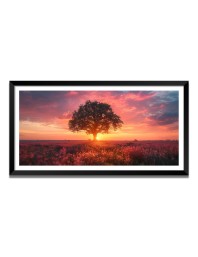 Nature Landscape Floating Frame Scenery Digital Print - (I5549) - 12x24 inch Modern Nature Wall Art for Living Room, Bedroom, Office, Hotels, Drawing Room