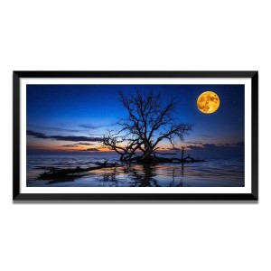 Nature Landscape Floating Frame Scenery Digital Print - (I5572) - 24x36 inch Modern Nature Wall Art for Living Room, Bedroom, Office, Hotels, Drawing Room