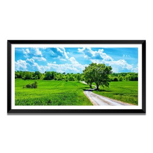 Nature Landscape Floating Frame Scenery Digital Print - (I5827) - 12x24 inch Modern Nature Wall Art for Living Room, Bedroom, Office, Hotels, Drawing Room Nature Landscape Floating Frame Scenery Digital Print - (I5827) - 12x24 inch Modern Nature Wall Art for Living Room, Bedroom, Office, Hotels, Drawing Room