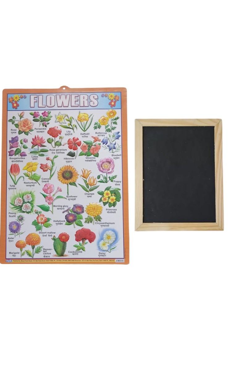 Hitech Sales Combo of Wooden Framed Small Blackboard Slate with White Chalk Sticks & Nursery Educational Wall Chart – Learning Kit for Kids (Wooden Blackboard with Flowers Chart)