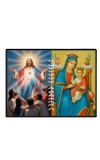 Jesus Lady Of Velankanni Laminated Photo - 11x13 Inches, Divine Blessings For Home & Office And Temple Decoration (F16208)