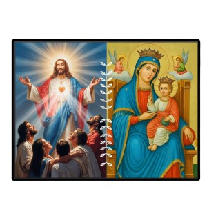 Jesus Lady Of Velankanni Laminated Photo - 11x13 Inches, Divine Blessings For Home & Office And Temple Decoration (F16208)