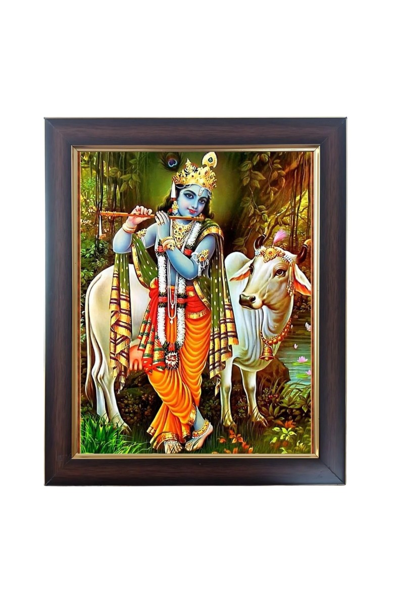 Hitech Sales Lord Krishna Photo Frame for Pooja Room, Temple Decor, Home Decoration and Gift