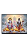 Lord Vishnu Shankar Laminated Photo - 7x9 Inches, Divine Blessings For Home & Office And Temple Decoration (F16059)