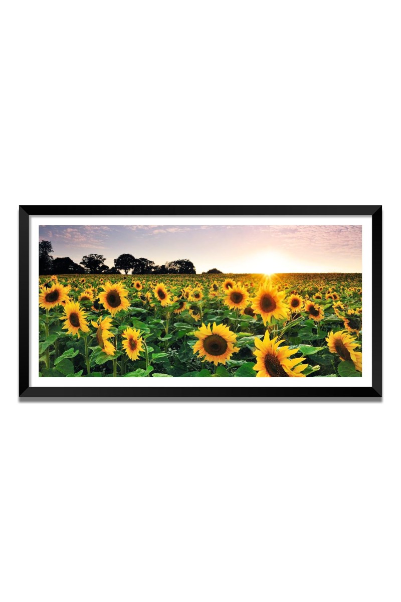 Nature Landscape Floating Frame Scenery Digital Print - (I5619) - 24x48 inch Modern Nature Wall Art for Living Room, Bedroom, Office, Hotels, Drawing Room