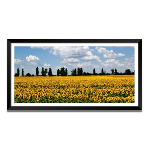 Nature Landscape Floating Frame Scenery Digital Print - (I5569) - 12x24 inch Modern Nature Wall Art for Living Room, Bedroom, Office, Hotels, Drawing Room Nature Landscape Floating Frame Scenery Digital Print - (I5569) - 12x24 inch Modern Nature Wall Art for Living Room, Bedroom, Office, Hotels, Drawing Room
