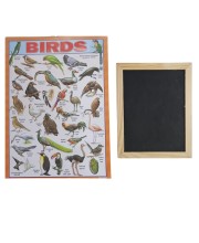 Hitech Sales Combo of Wooden Framed Small Blackboard Slate with White Chalk Sticks & Nursery Educational Wall Chart – Learning Kit for Kids (Wooden Blackboards with Birds Chart)
