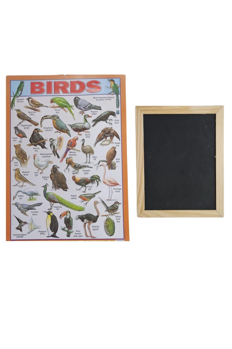 Hitech Sales Combo of Wooden Framed Small Blackboard Slate with White Chalk Sticks & Nursery Educational Wall Chart – Learning Kit for Kids (Wooden Blackboards with Birds Chart)