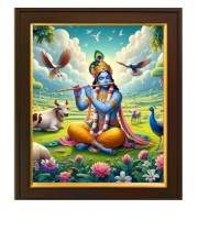 God Sree Krishna Photo Frames for Home Wall Pooja Room Living Room Gift Bedroom Multcolored L x H 10x12 Inches