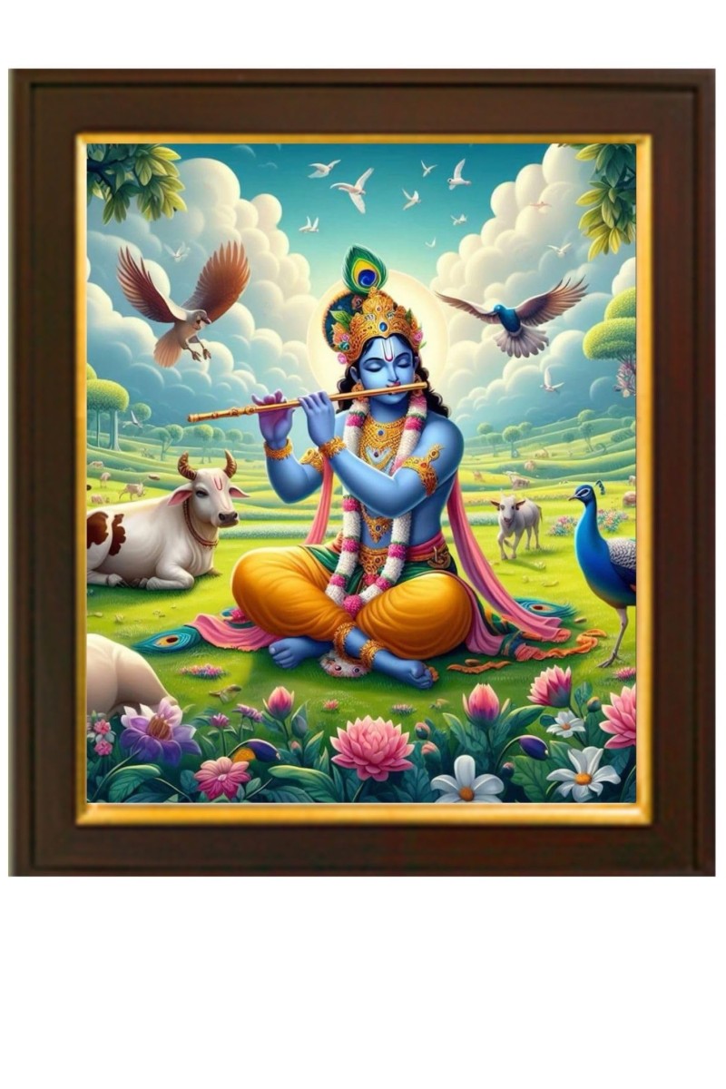 God Sree Krishna Photo Frames for Home Wall Pooja Room Living Room Gift Bedroom Multcolored L x H 10x12 Inches