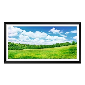 Nature Landscape Floating Frame Scenery Digital Print - (I5731) - 18x36 inch Modern Nature Wall Art for Living Room, Bedroom, Office, Hotels, Drawing Room