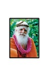 Satguru Sivaya Subramuniyaswami Laminated Photo - 11x13 Inches, Divine Blessings for Home & Office and Temple Decoration