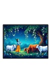 Lord Krishna Laminated Photo - 9x11 Inches, Divine Blessings For Home & Office And Temple Decoration (F16103)