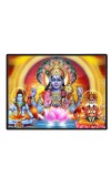 Lord Vishnu Laminated Photo - 7x9 Inches, Divine Blessings For Home & Office And Temple Decoration (F16119)