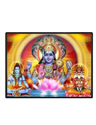 Lord Vishnu Laminated Photo - 7x9 Inches, Divine Blessings For Home & Office And Temple Decoration (F16119)