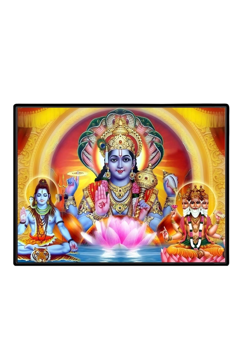 Lord Vishnu Laminated Photo - 7x9 Inches, Divine Blessings For Home & Office And Temple Decoration (F16119)