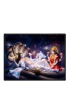 Lord Vishnu Laminated Photo - 7x9 Inches, Divine Blessings For Home & Office And Temple Decoration (F16095)