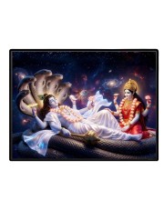 Lord Vishnu Laminated Photo - 7x9 Inches, Divine Blessings For Home & Office And Temple Decoration (F16095)