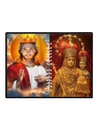 Jesus Lady Of Velankanni Laminated Photo - 11x13 Inches, Divine Blessings For Home & Office And Temple Decoration (F16200)