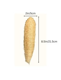 Natural Loofah Sponge for Bath & Body Scrubbing | Eco-Friendly Shower Scrubber for Skin Care & Cleaning (Pack of 2)