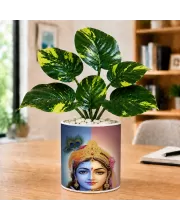 Artificial Tree Ceramic Photo Pot With White Stones 3x4 Inch (F164472)