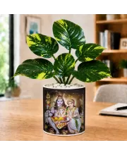 Artificial Tree Ceramic Photo Pot With White Stones 3x4 Inch (F164473)