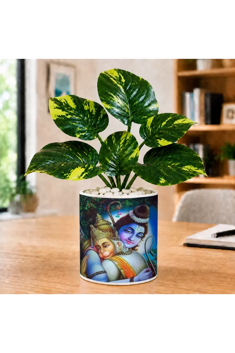 Artificial Tree Ceramic Photo Pot With White Stones 3x4 Inch (F164475)