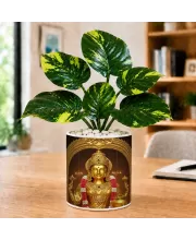 Artificial Tree Ceramic Photo Pot With White Stones 3x4 Inch (F164477)