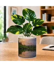 Artificial Tree Ceramic Photo Pot With White Stones 3x4 Inch (F164480)