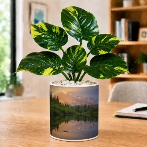 Artificial Tree Ceramic Photo Pot With White Stones 3x4 Inch (F164480)