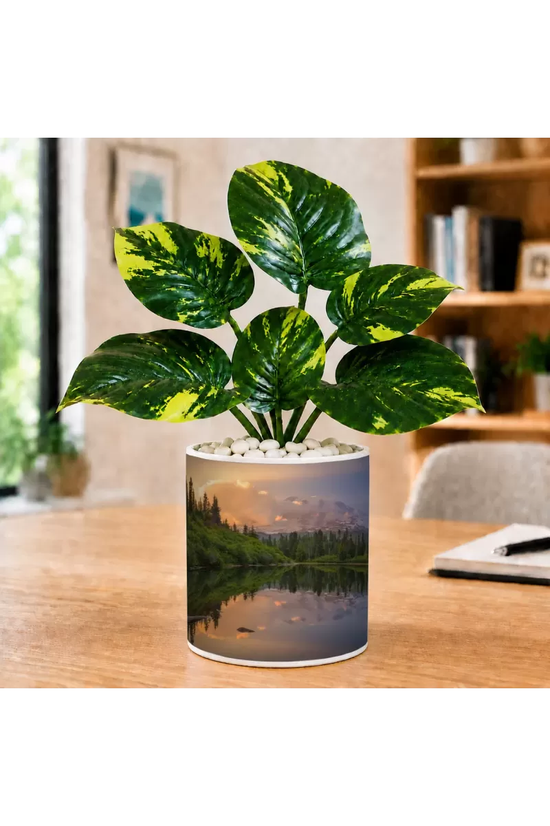 Artificial Tree Ceramic Photo Pot With White Stones 3x4 Inch (F164480)