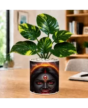 Artificial Tree Ceramic Photo Pot With White Stones 3x4 Inch (F164484)